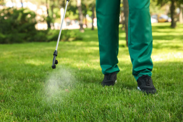 Wasp Removal Services in Loudonville, OH