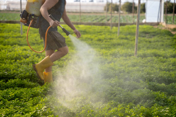 Best Affordable Pest Control Services  in Loudonville, OH