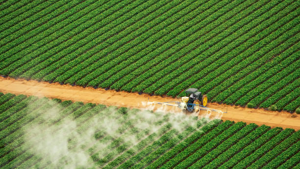Best Commercial Pest Control Services  in Loudonville, OH