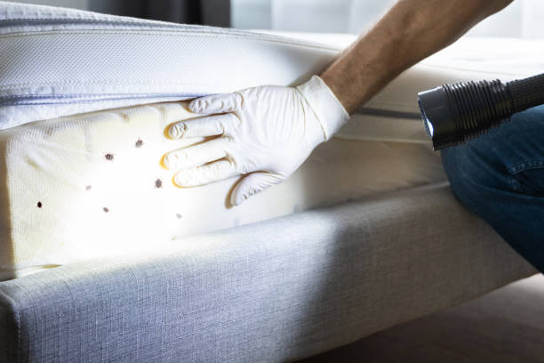 Loudonville, OH Pest Control Company