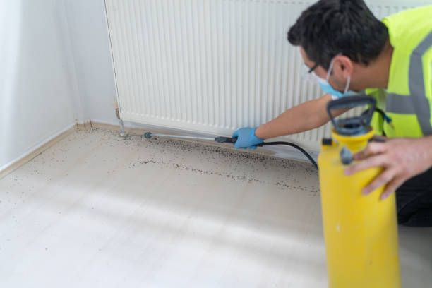 Best Bed Bug Extermination  in Loudonville, OH