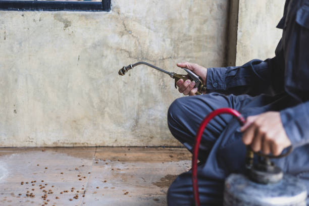 Best Emergency Pest Control  in Loudonville, OH